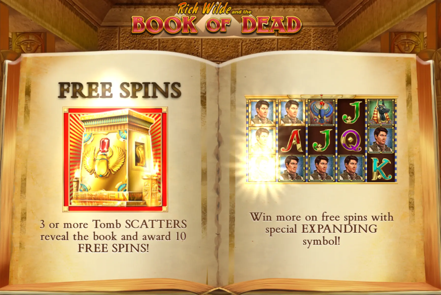 Book of Dead slot game icon